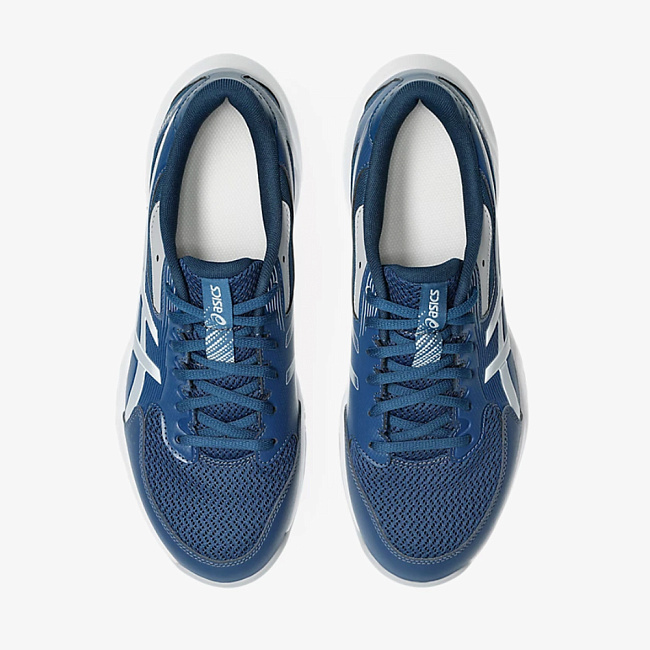 мужская обувь для волейбола асикс