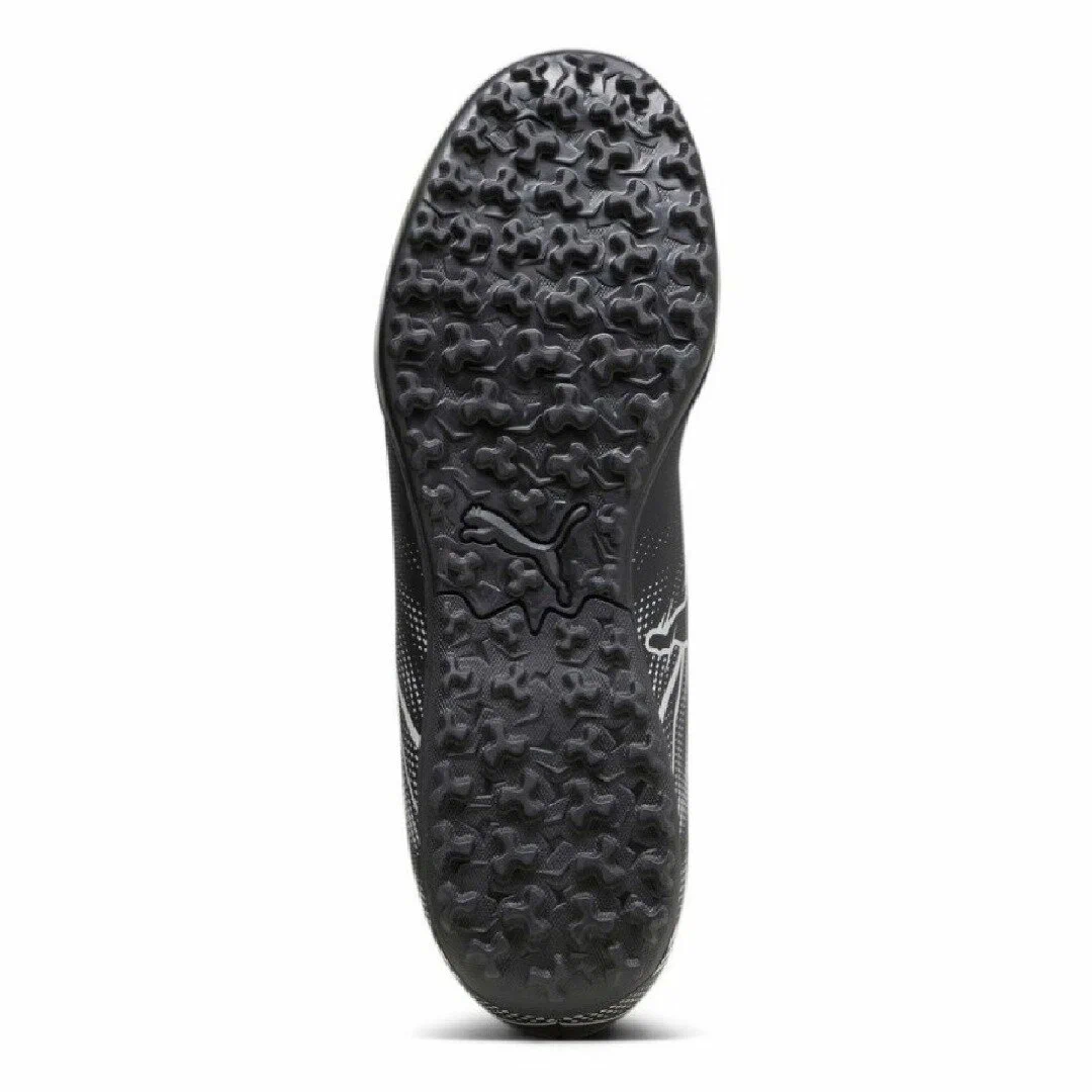 сороконожки пума