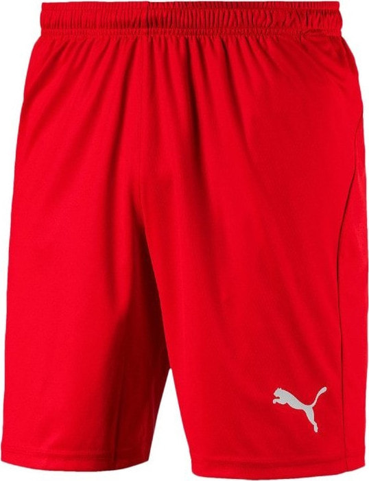 Puma LIGA Shorts Core